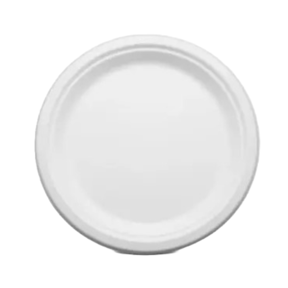 Eco Planet Disposable Bagasse Plates 9 Inch - Image 3