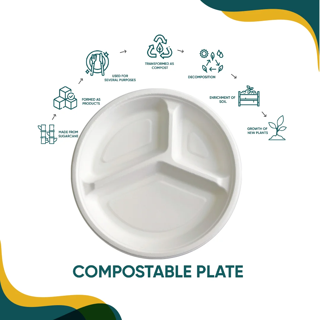 Bagasse 3 Compartment Plates 10" Pack of 50 - Image 4