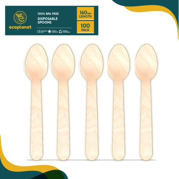 Bagasse Spoon 6