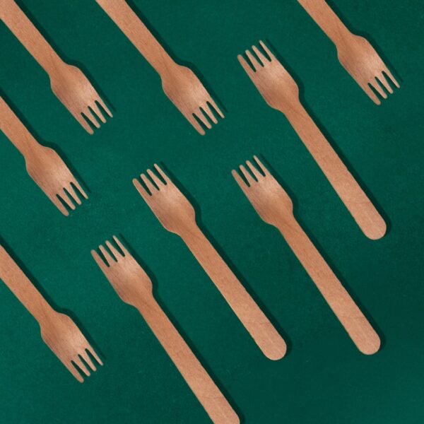 Bagasse Fork