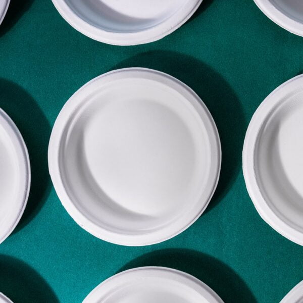 Disposable Plates