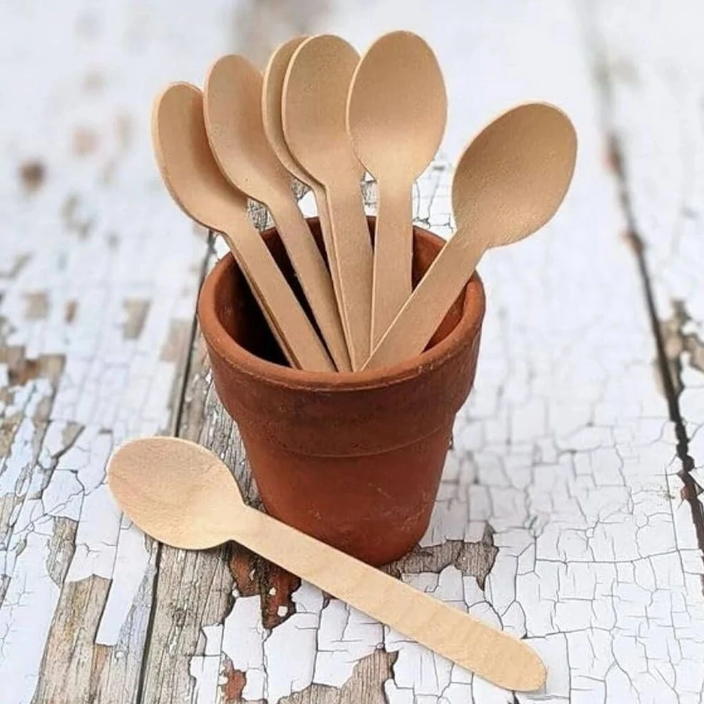 ECO PLANET 100% Natural Disposable Wooden Spoons